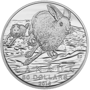 2016 - Canada - $50 - Hare