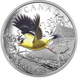 2016 - Canada - $20 - The American Goldfinch