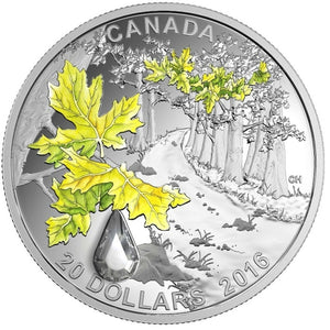 2016 - Canada - $20 - Jewel of the Rain: Bigleaf Maple