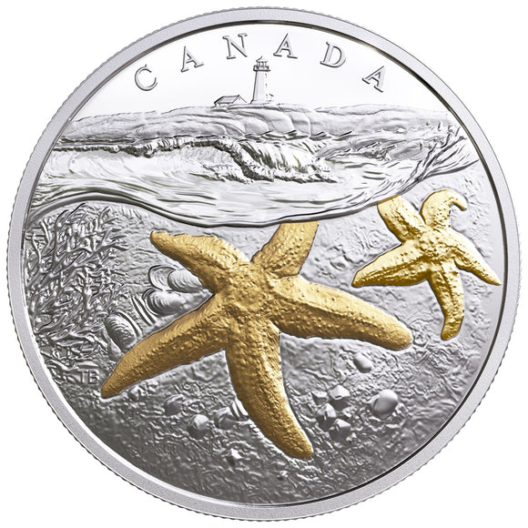 2017 - Canada - $20 - From Sea to Sea to Sea: Atlantic Starfish