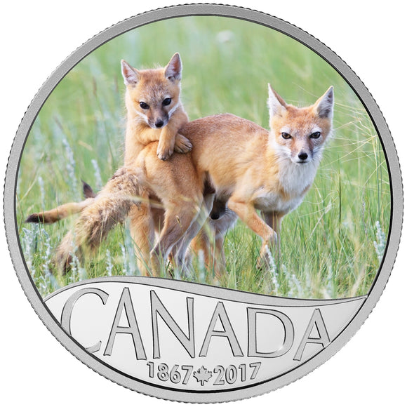 2017 - Canada - $10 - Wild Swift Fox and Pups