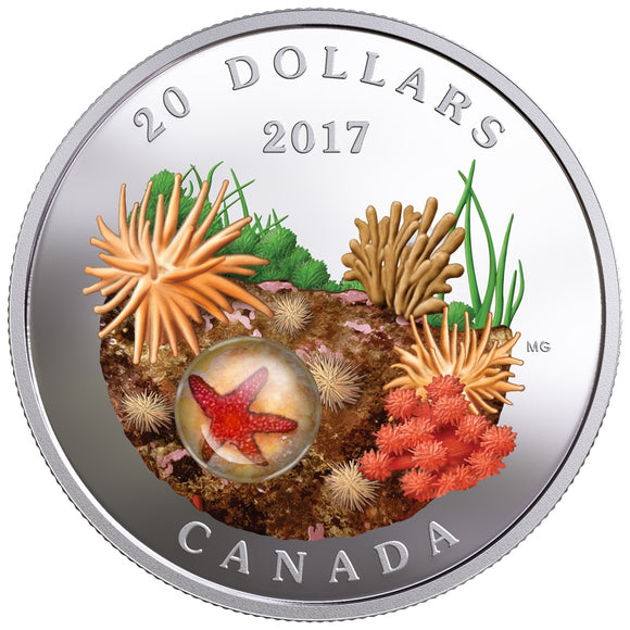 2017 - Canada - $20 - Under the Sea - Sea Star
