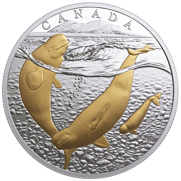 2018 - Canada - $20 - From Sea to Sea to Sea - Arctic Beluga Whale