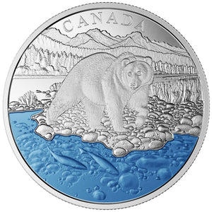 2017 - Canada - $20 - Iconic Canada - The Grizzly Bear