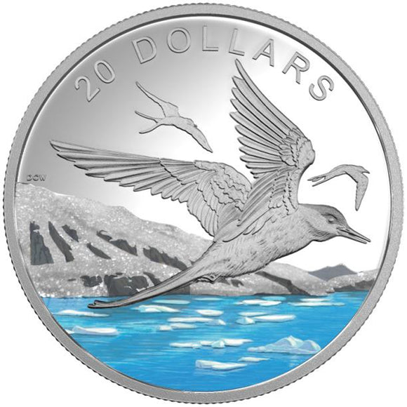 2017 - Canada - $20 - Glistening North: The Arctic Tern