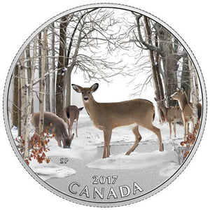2017 - Canada - $10 - Spring Sightings