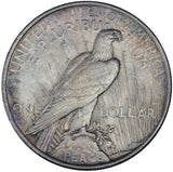 1923 - USA - $1 - MS63