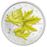 2006 - Canada - $5 - Silver Maple