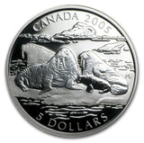2005 - Canada - The Atlantic Walrus and Calf