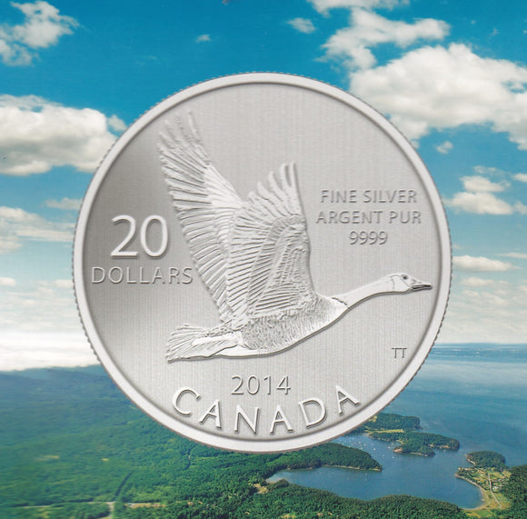 2014 - Canada - $20 - Canada Goose - Specimen