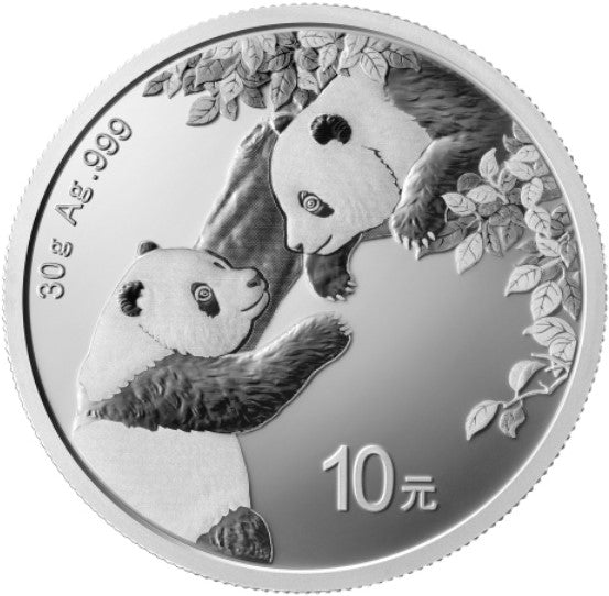 30 g - 2023 Silver Chinese Panda